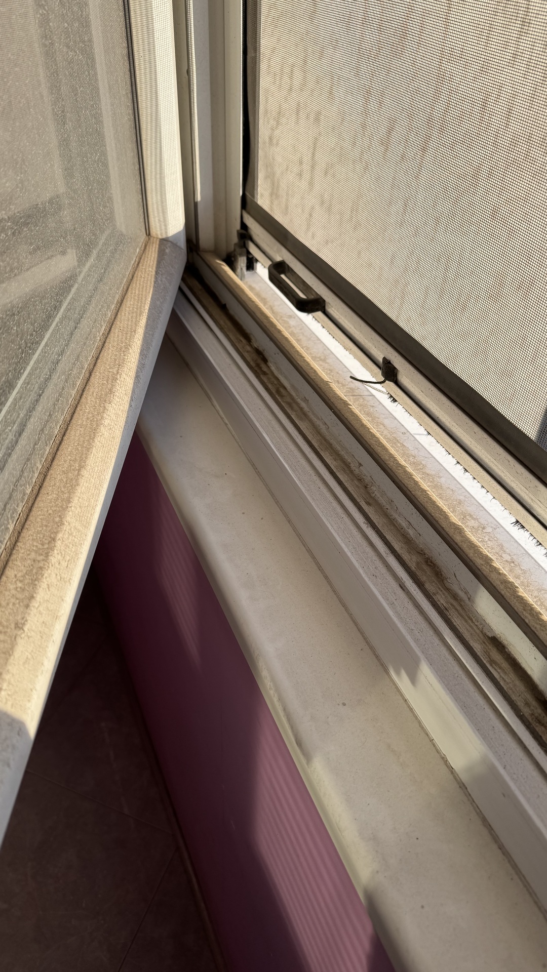 Before photo for Почистване след наематели