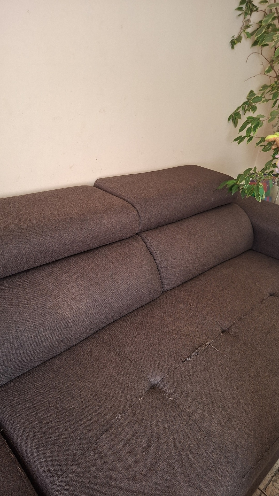 After photo for Upholstery Cleaning
