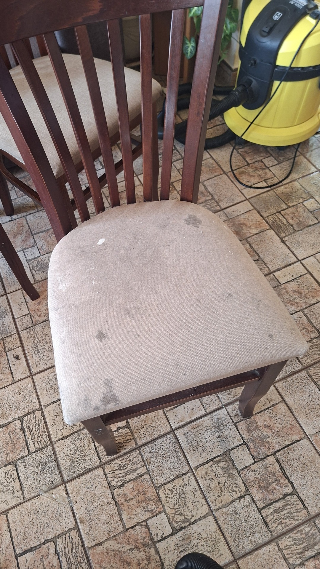 Before photo for Upholstery Cleaning