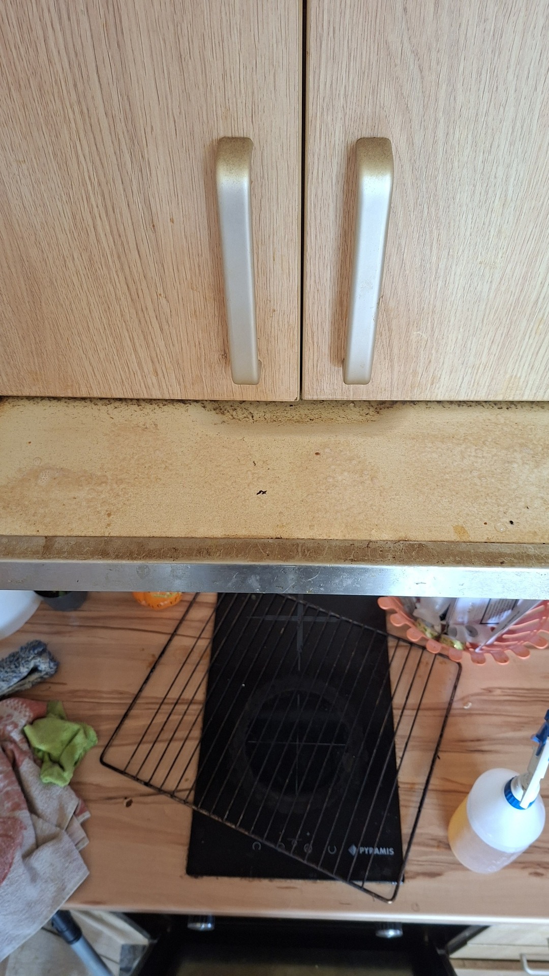 Before photo for Основно почистване