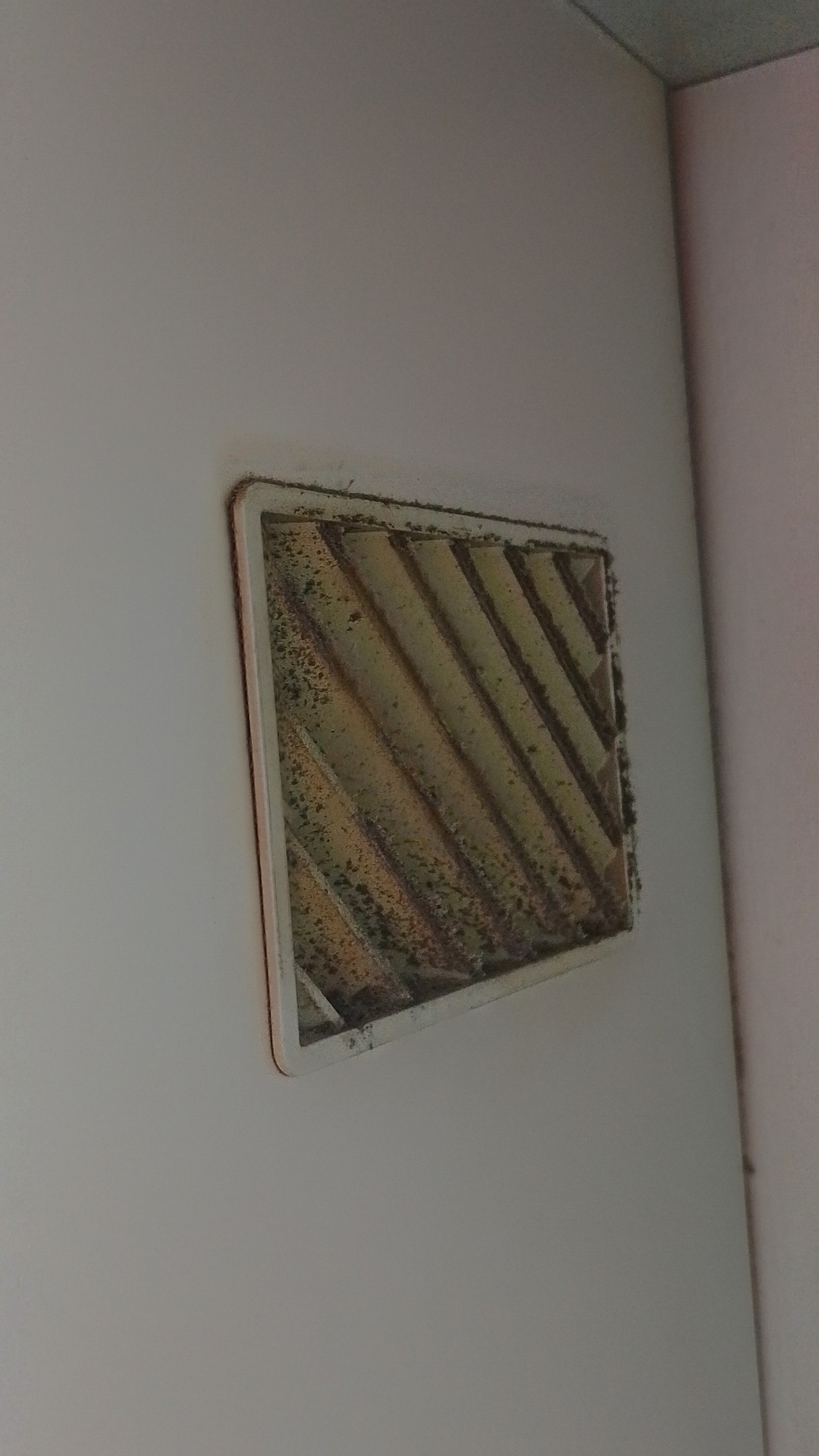 Before photo for Почистване след наематели