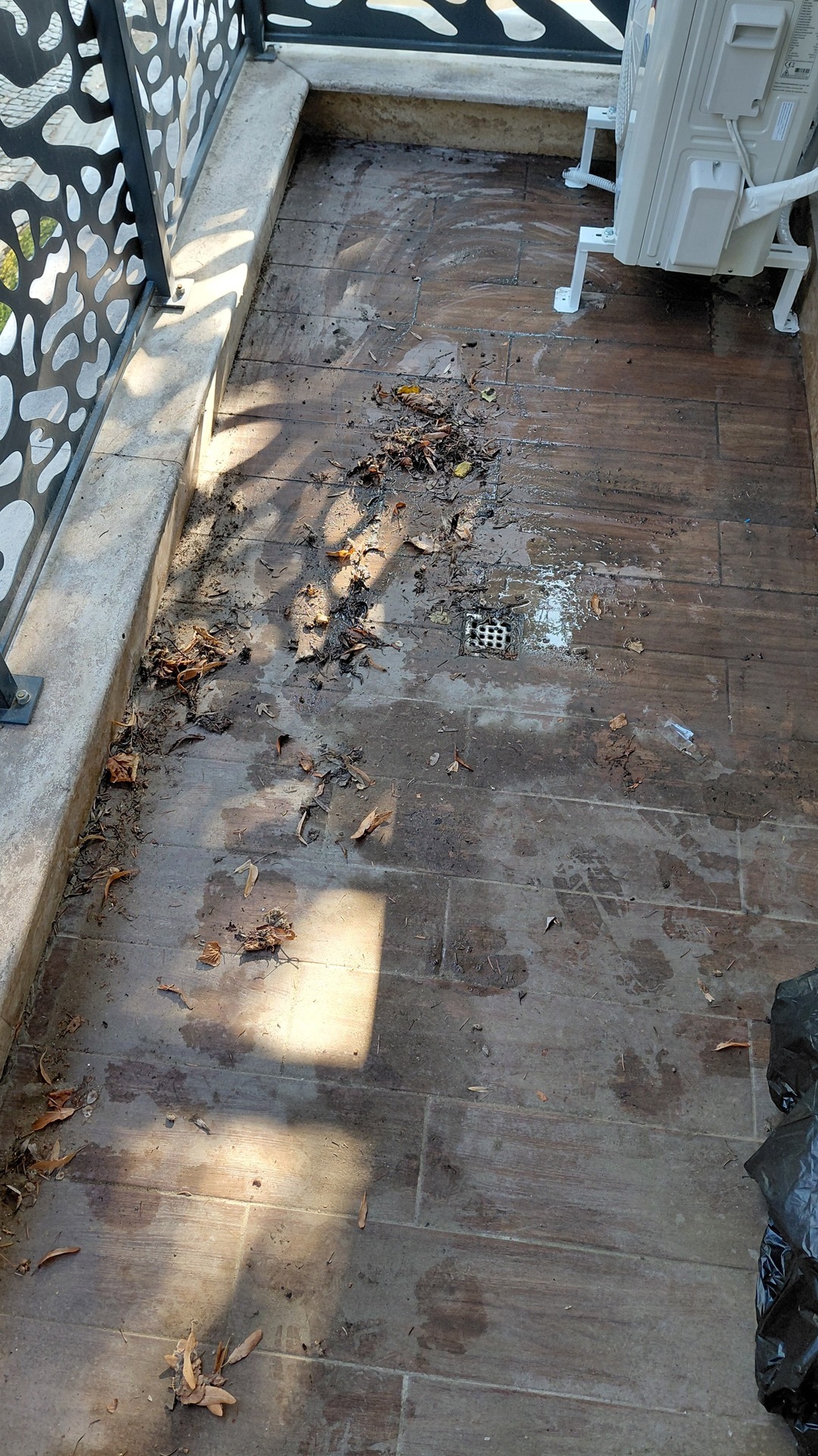 Before photo for Deep Cleaning