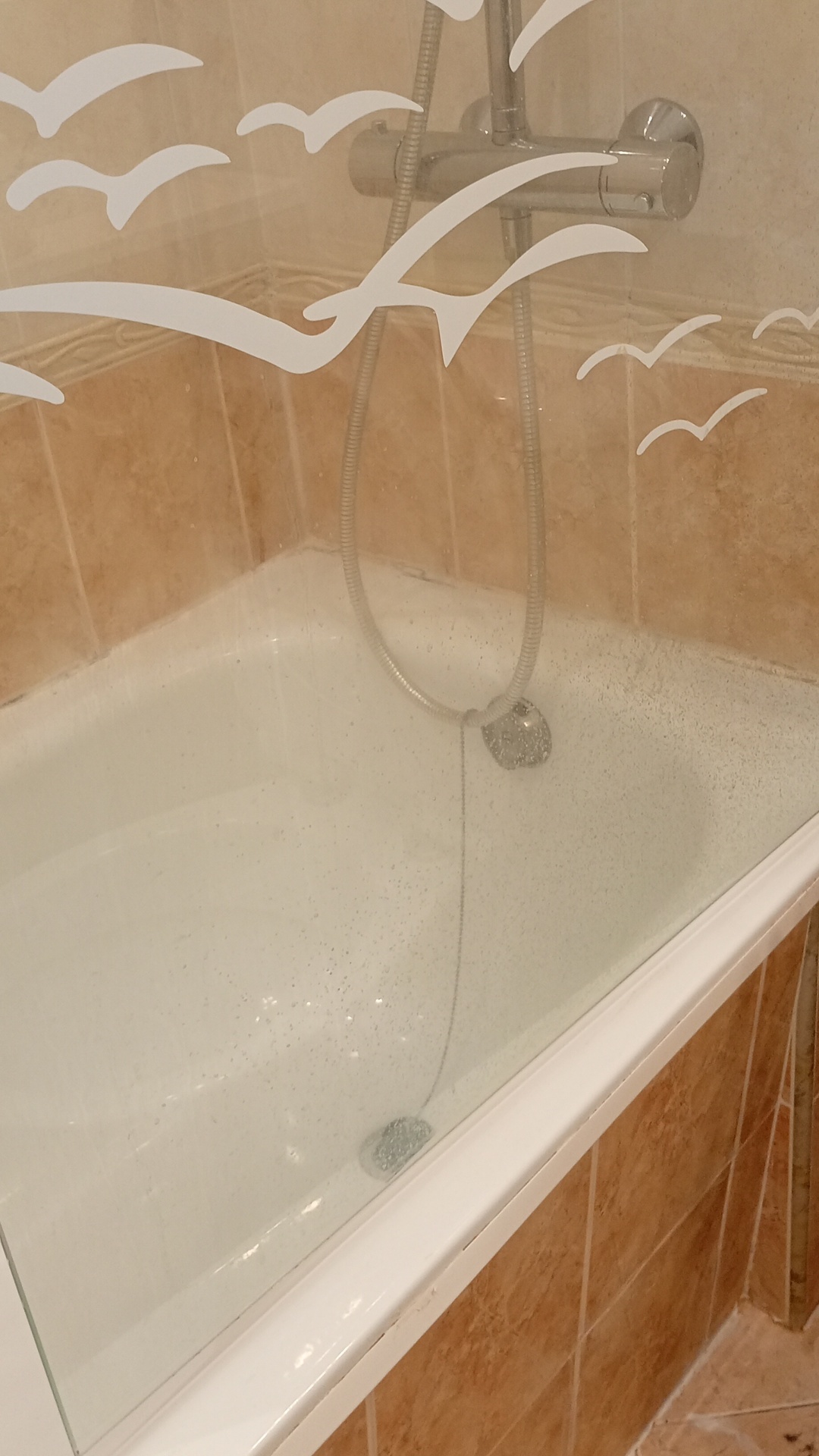 Before photo for Основно почистване