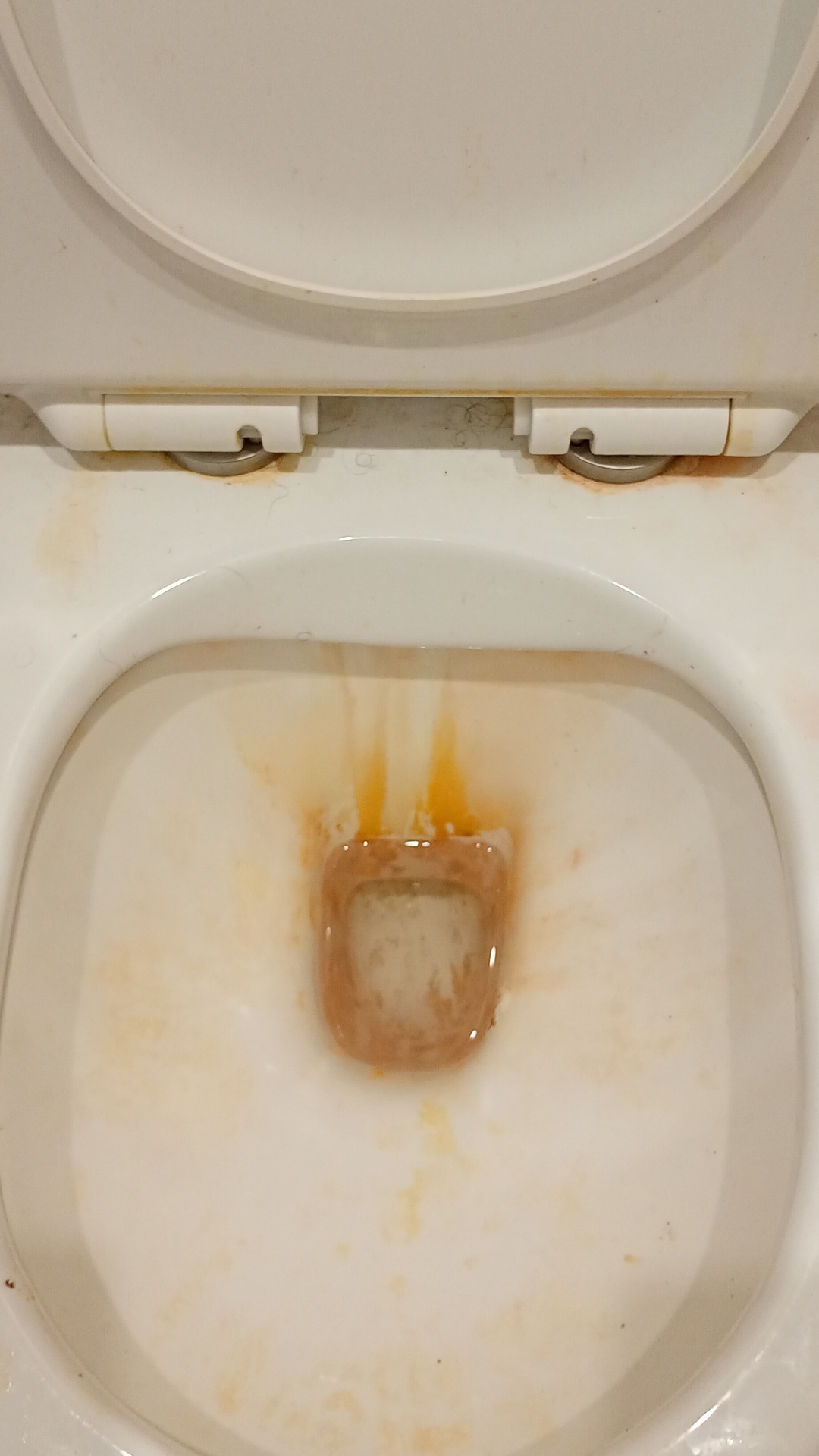 Before photo for Почистване след наематели