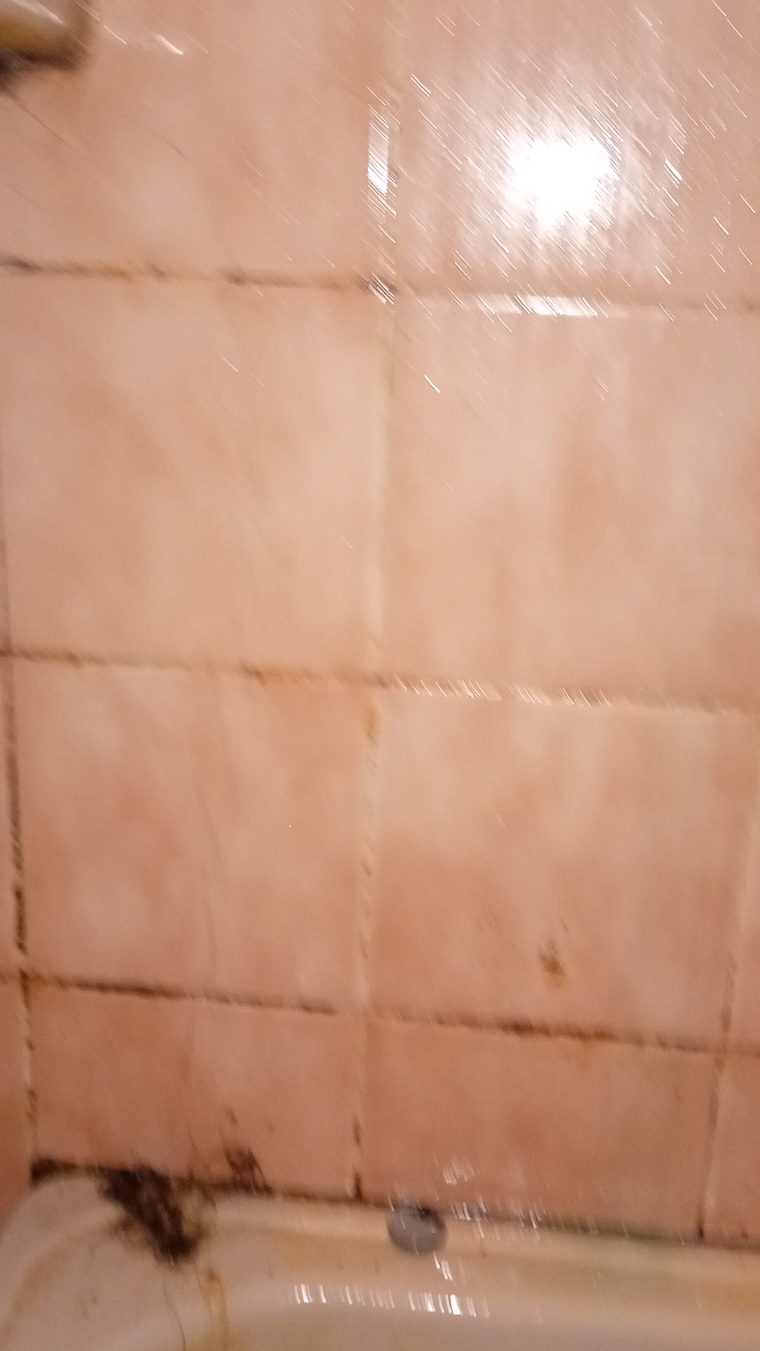 Before photo for Основно почистване