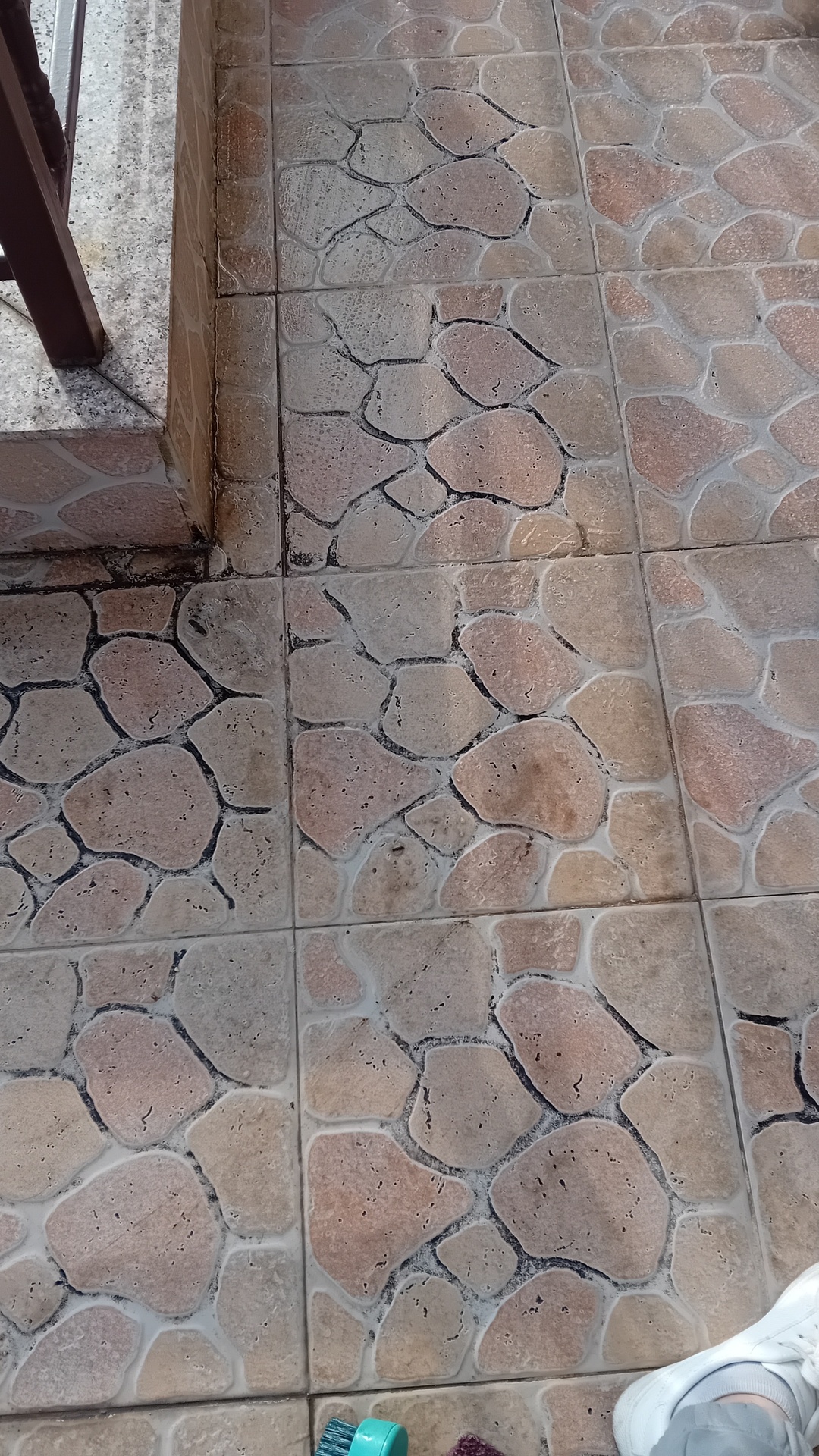 Before photo for Основно почистване