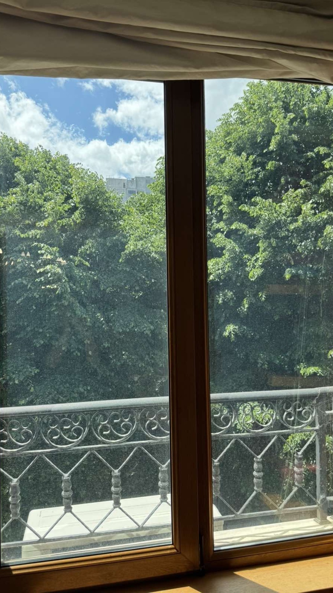 Before photo for Window Cleaning