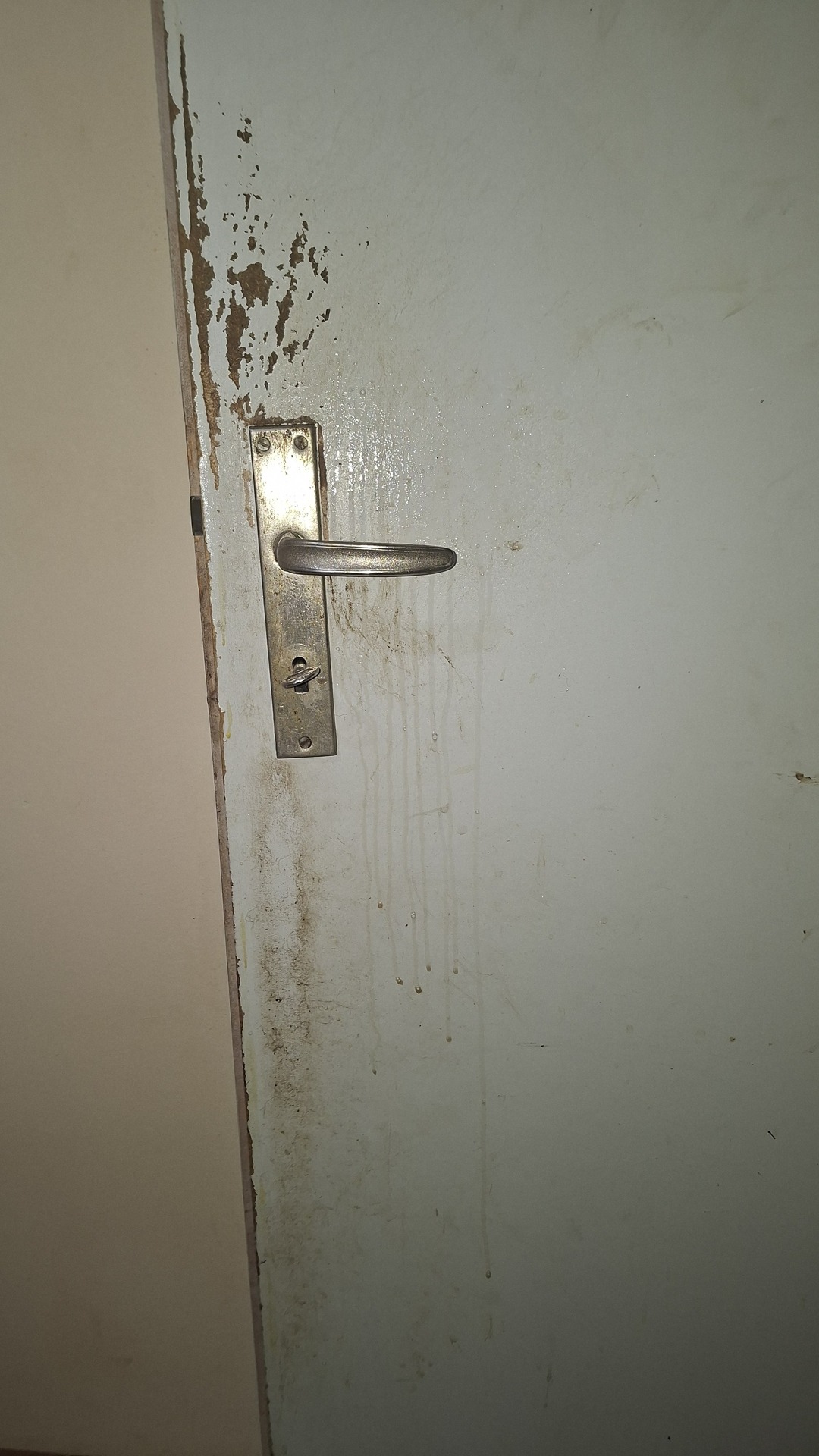 Before photo for Основно почистване