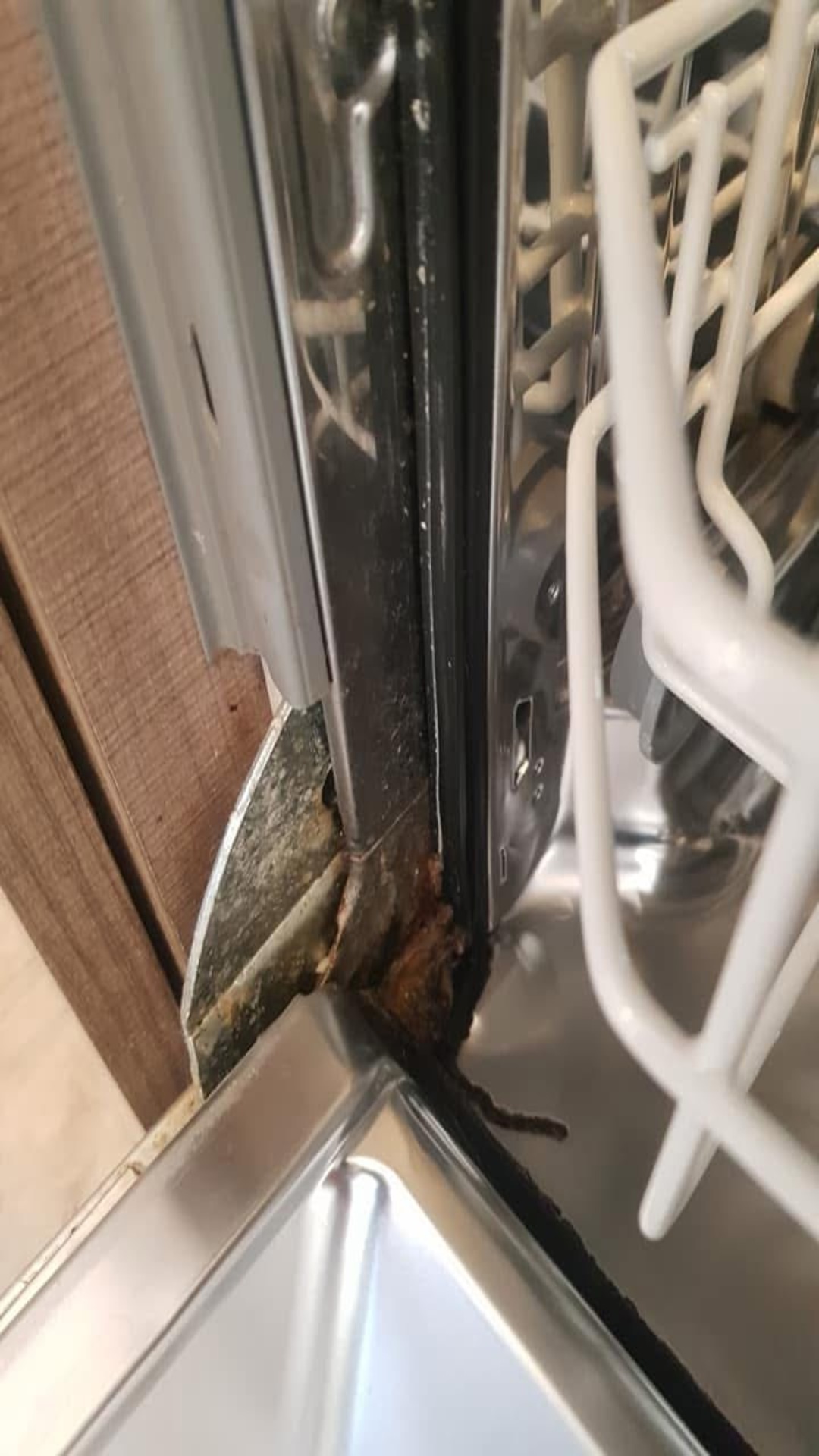 Before photo for Deep Cleaning