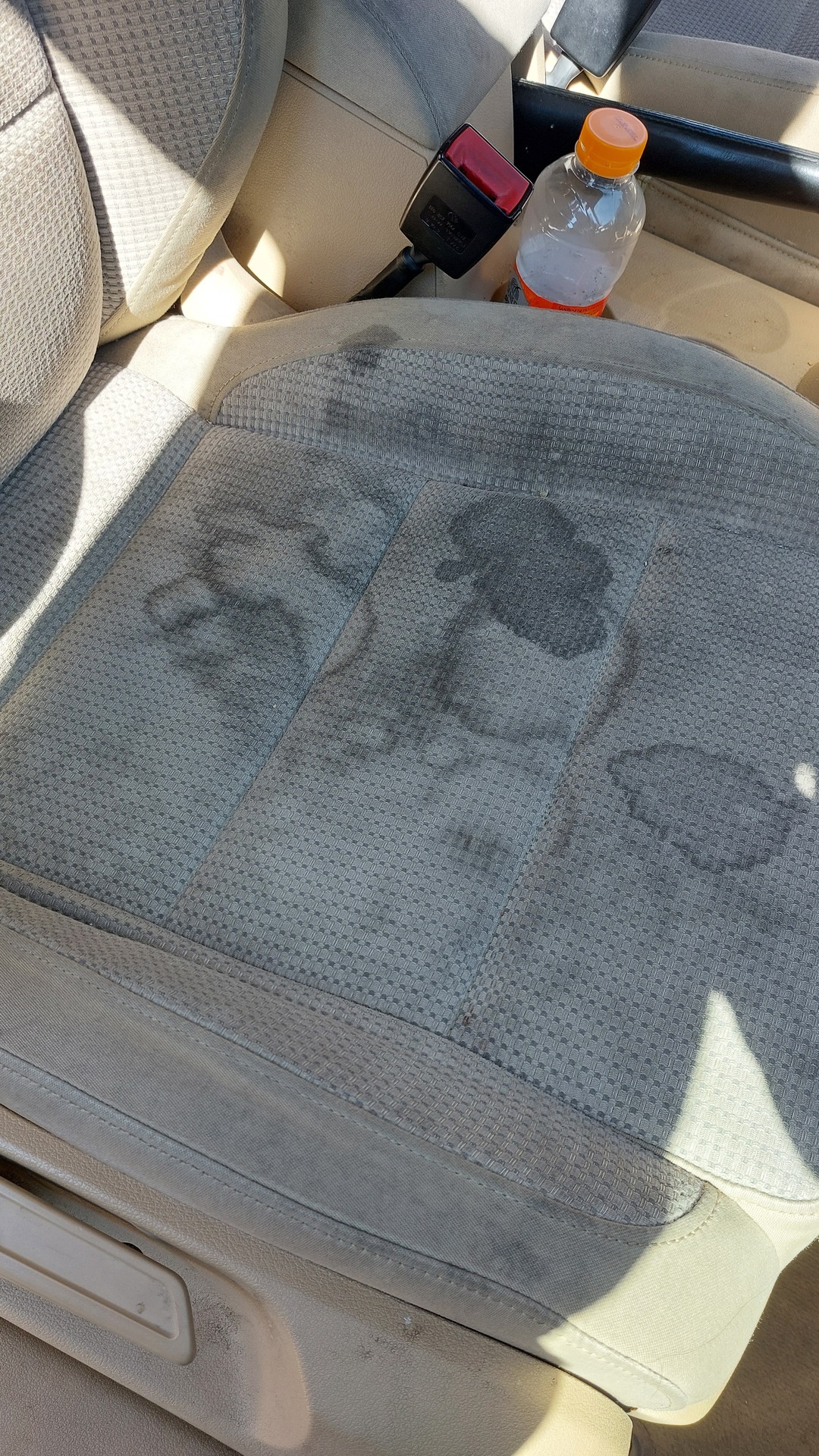 Before photo for Car Upholstery Cleaning